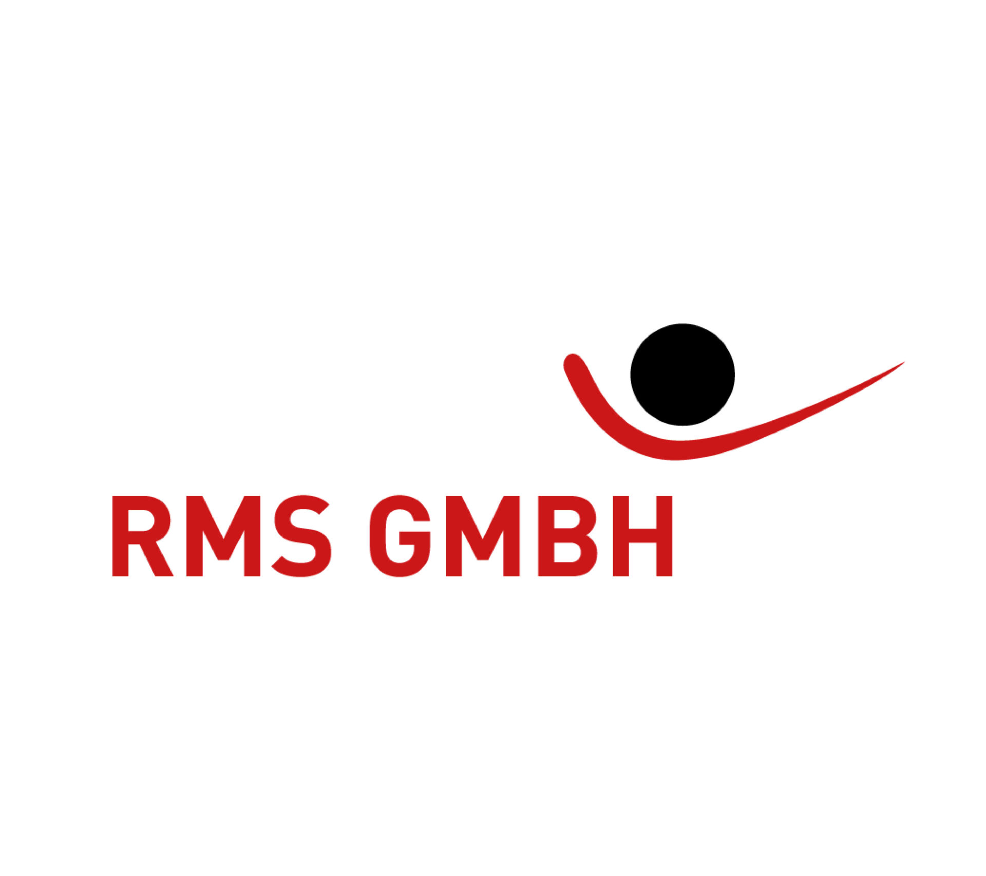 Rms Risk Browser Arbeitsschutz-Software RISK-Project in Videos